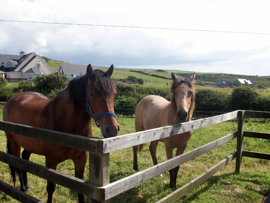 O'Connor'S Accommodation Doolin Zewnętrze zdjęcie