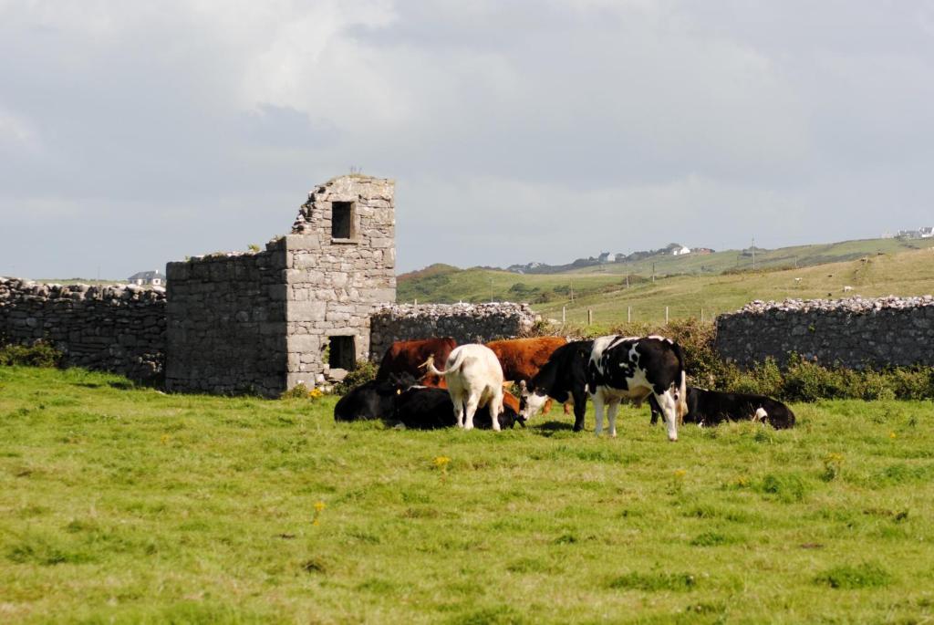 O'Connor'S Accommodation Doolin Zewnętrze zdjęcie