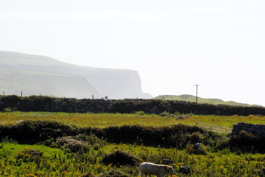 O'Connor'S Accommodation Doolin Zewnętrze zdjęcie