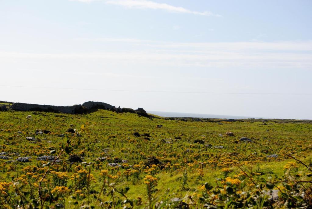 O'Connor'S Accommodation Doolin Zewnętrze zdjęcie